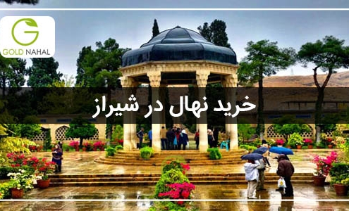 خرید نهال شیراز