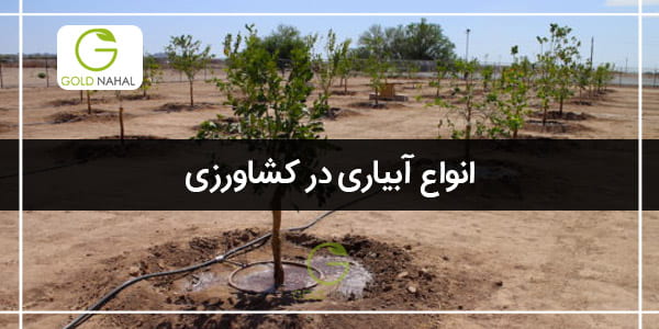 معرفی بهترین انواع آبیاری باغ درختان میوه در علم کشاورزی