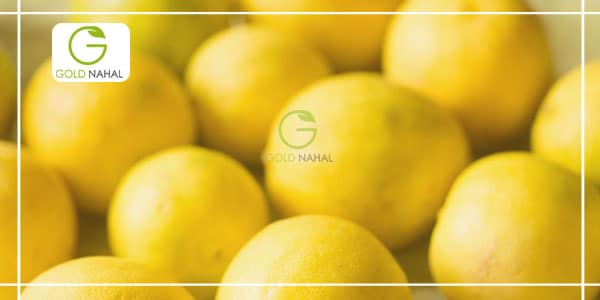 فواید و مواد مغذی موجود در لیمو شیرین