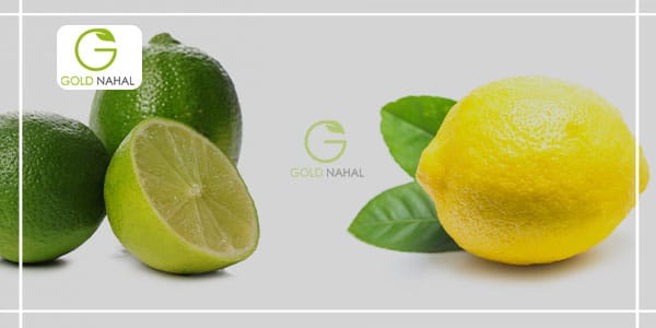 تفاوت لیمو ترش زرد و سبز