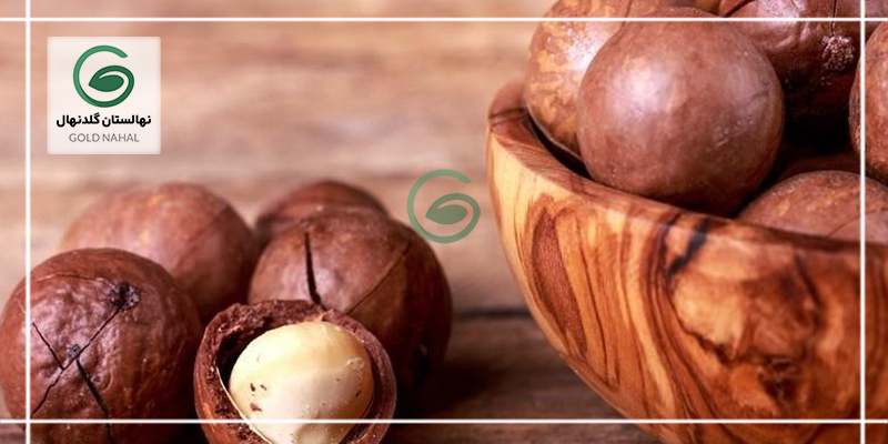 فندق استرالیایی