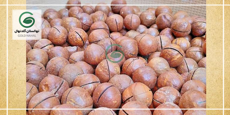 فندق استرالیایی