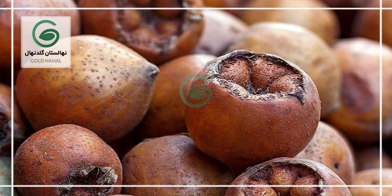 تنظیم قند خون با کبد