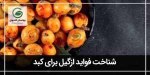 آشنایی با خواص ازگیل برای کبد