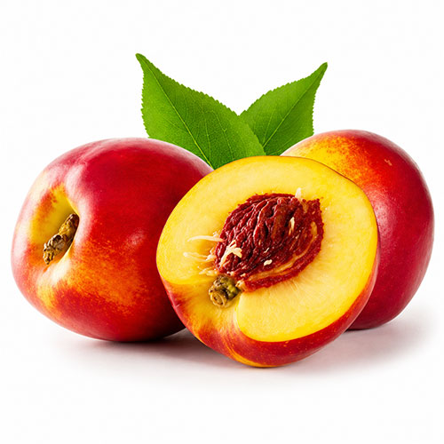شلیل