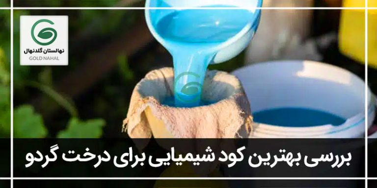 کود