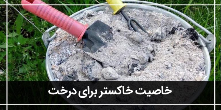 خاکستر