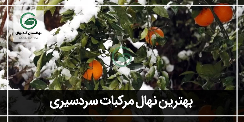 مرکبات