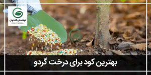 بهترین کود برای درخت گردو:(روش استفاده + بهترین زمان)