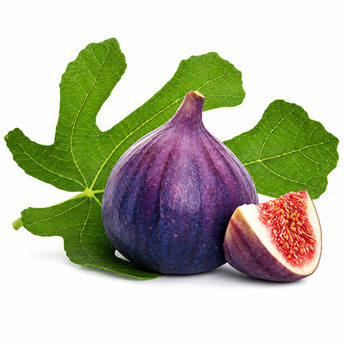 انجیر