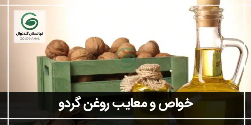 خواص و معایب روغن گردو