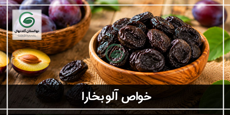 آلو بخارا