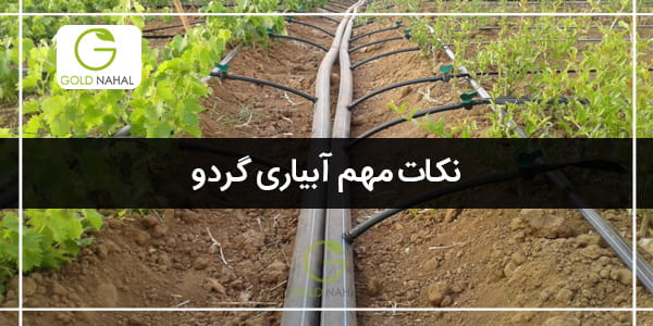 ابیاری