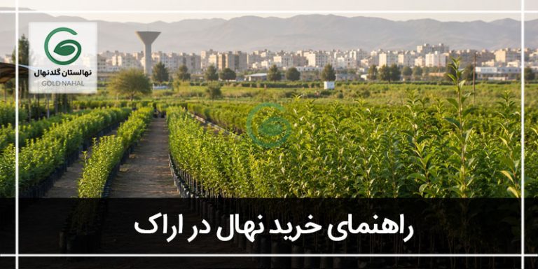خرید نهال در اراک