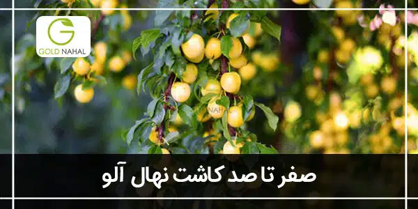 الو