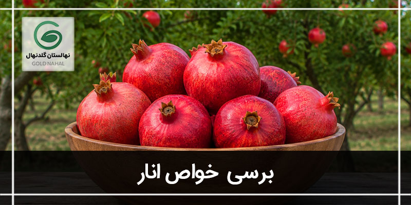 انار