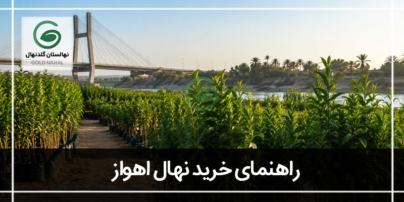 خرید نهال اهواز