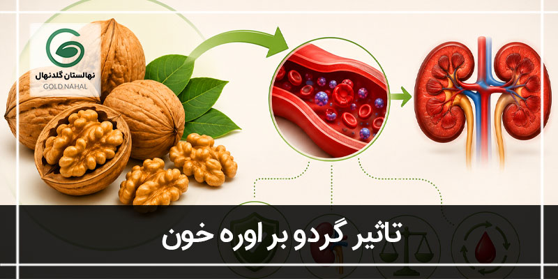 اوره خون