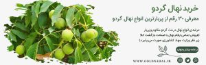 بنر-گردو-min-3