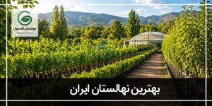 بهترین نهالستان ایران
