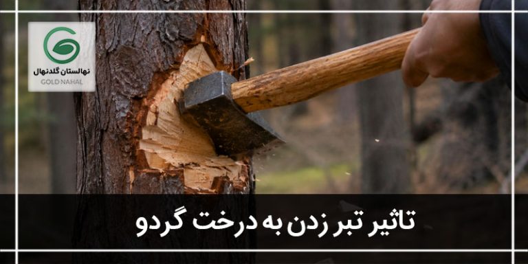 تبر زدن