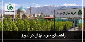 خرید نهال در تبریز