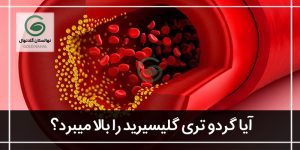 آیا گردو تری گلیسیرید را بالا میبرد؟