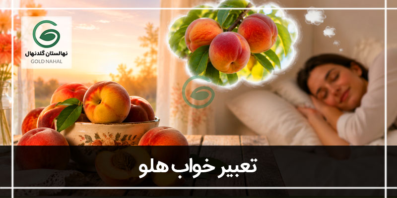 تعبیر خواب هلو