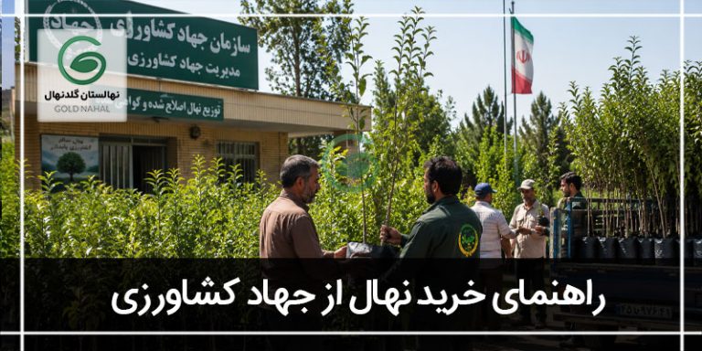 خرید نهال جهاد کشاورزی