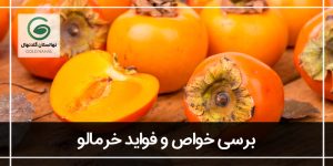 فواید خرمالو