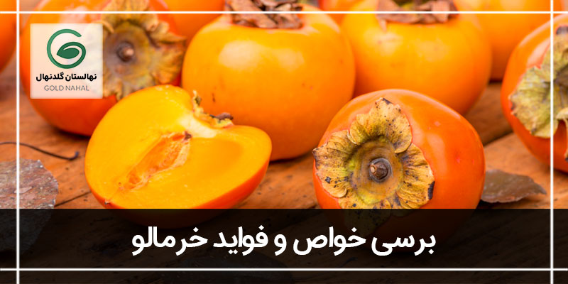 خرمالو
