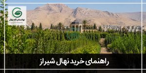 خرید نهال از جهاد کشاورزی شیراز