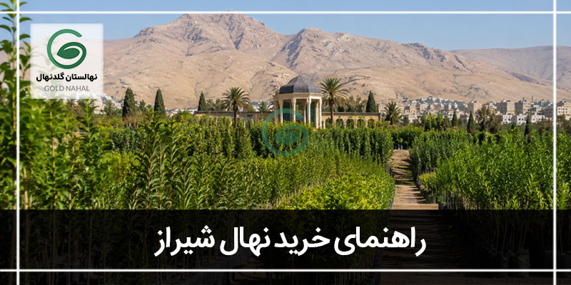 خرید نهال شیراز