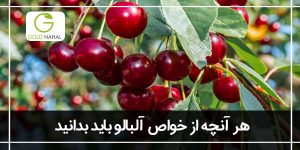 خواص آلبالو