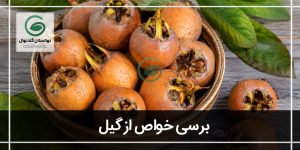 خواص ازگیل