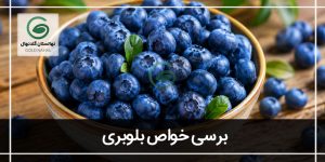 فواید بلوبری