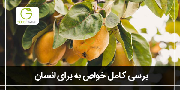 خواص به