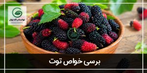 فواید توت