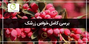 فواید زرشک و خواص آب زرشک