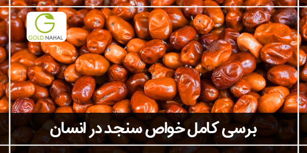 خواص سنجد