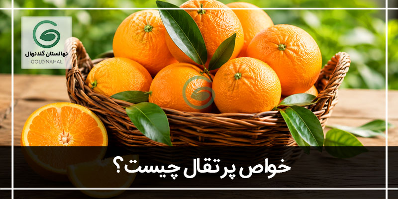 خواص پرتقال