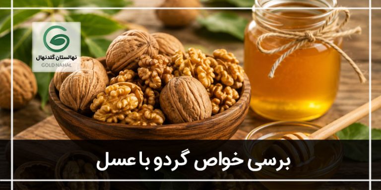 خواص گردو با عسل