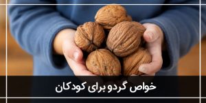 10 خواص گردو برای کودکان: (برسی فواید گردو در خردسالان)
