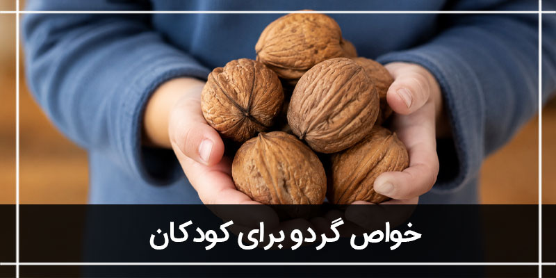 خواص گردو برای کودکان