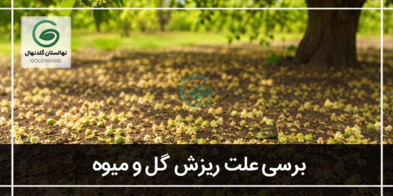 ریزش