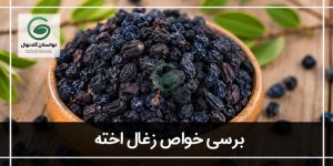 خواص زغال اخته