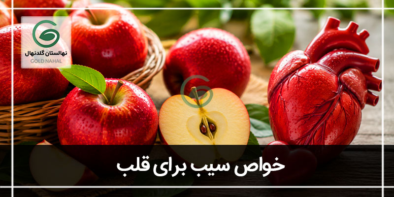 سیب برای قلب