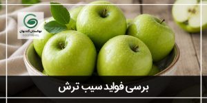 22 خواص سیب ترش برای سلامتی