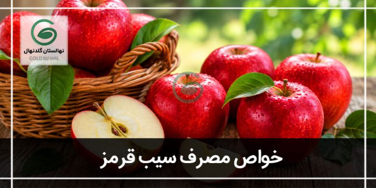 سیب قرمز