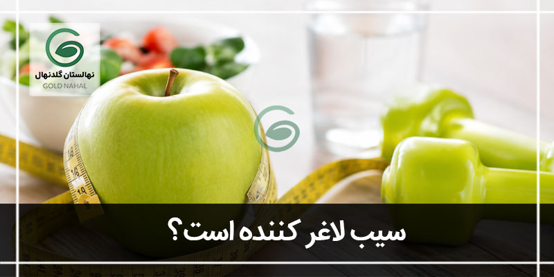 سیب لاغر کننده